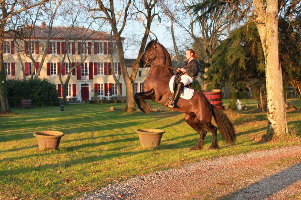 Le Relais Du Silence Chateau Lavail Labastide-d'Anjou Экстерьер фото