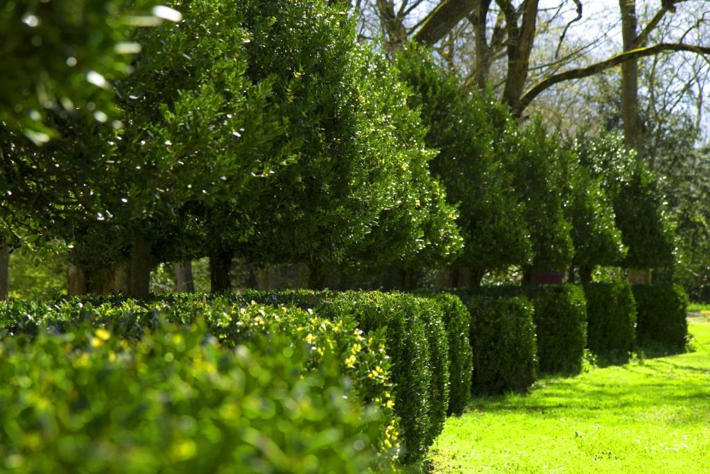 Le Relais Du Silence Chateau Lavail Labastide-d'Anjou Экстерьер фото